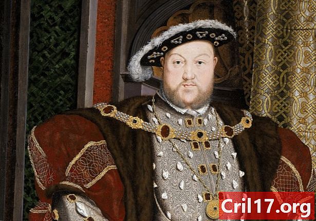 7 Verrassende feiten over koning Henry VIII