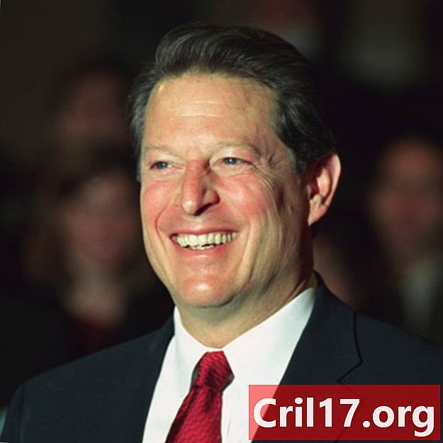 Al Gore - Amerikaanse vice-president, milieuactivist