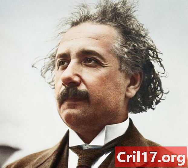 Albert Einsteins ama a vida: as esposas, os assuntos