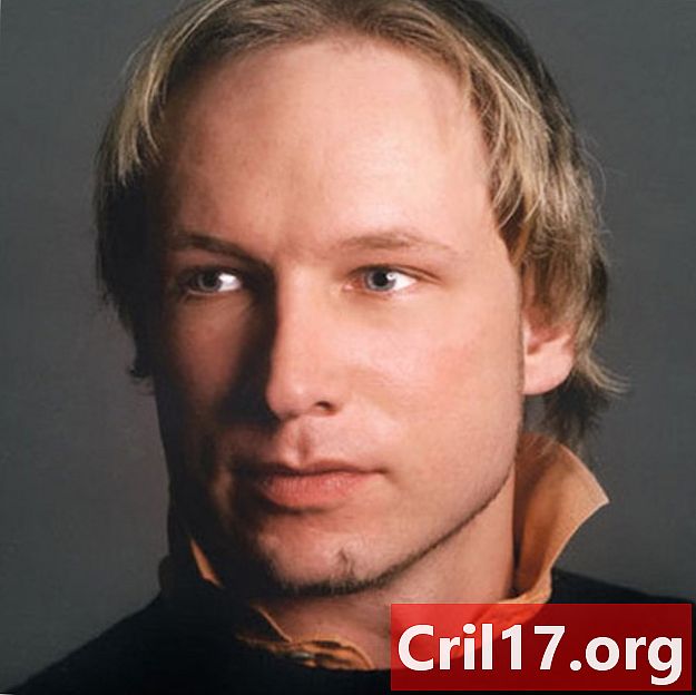 Anders Behring Breivik - Manifest, napad in Norveška