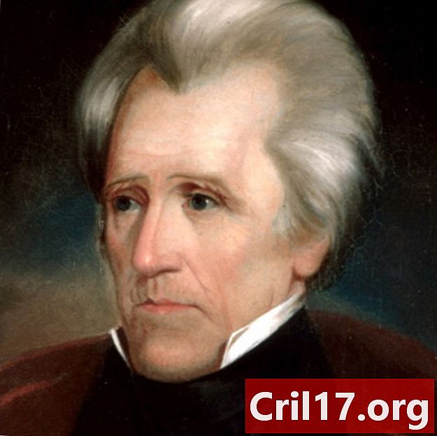 Andrew Jackson - Ordförandeskap, fakta och prestationer