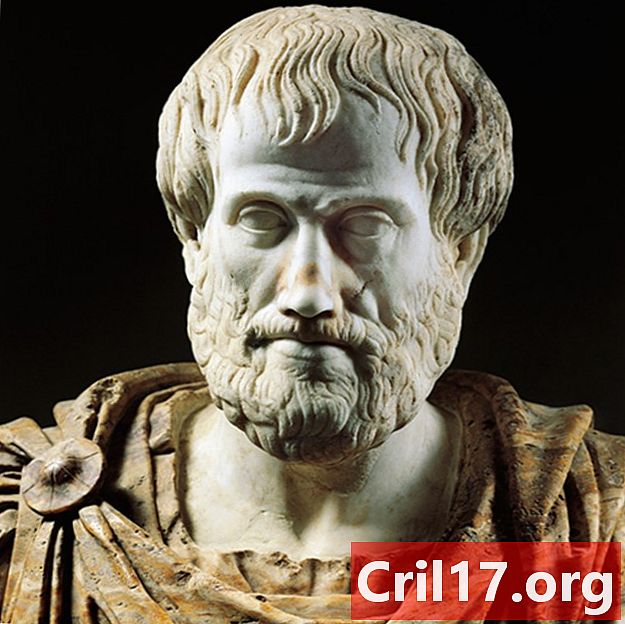 Aristoteles - Psikoloji, Tırnaklar ve Eserler