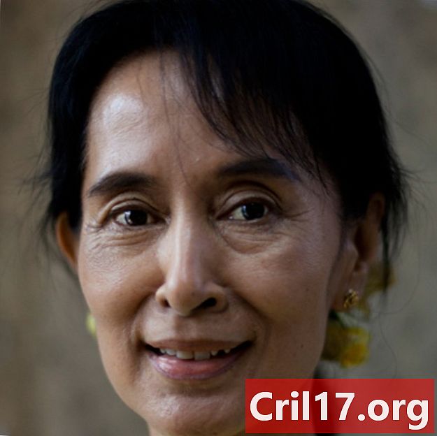 Aung San Suu Kyi - съпруг, котировки и кризис Rohingya