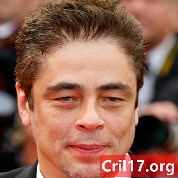 Benicio Del Toro -