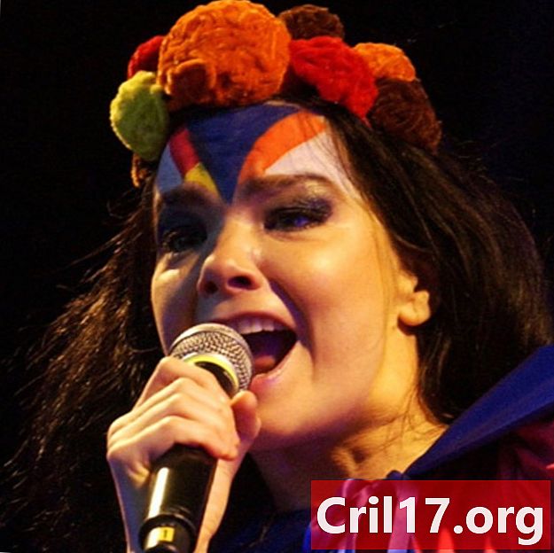 Björk - zpěvák