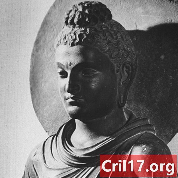 Buda - Tırnaklar, Öğretiler ve Gerçekler