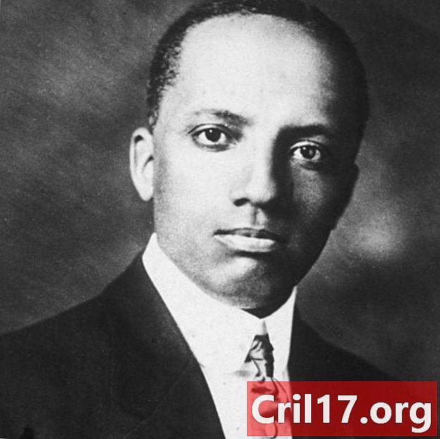 Carter G. Woodson - Books, Miseducation of the Negro & Facts