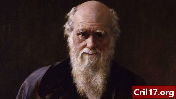 Charles Darwin: 5 faktů o otci evoluce