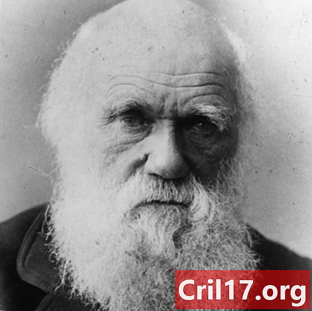 Charles Darwin - Theorie, Buch & Zitate
