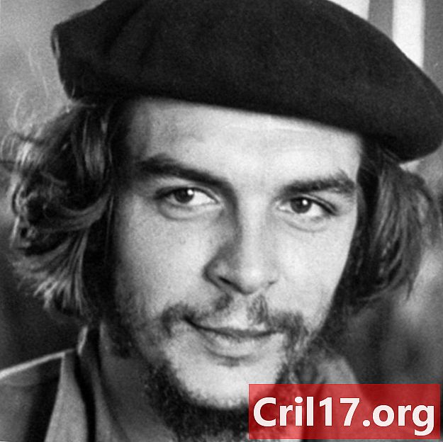 Che Guevara - Citat, Fidel Castro & Life