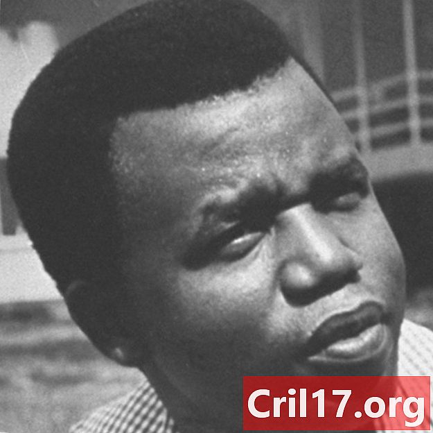 Chinua Achebe - věci se rozpadají, knihy a fakta