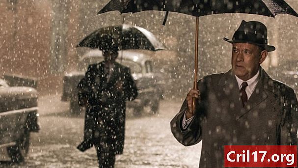 Cold War Intrigue: The True Story of Bridge of Spies
