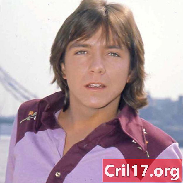 David Cassidy - Death, Songs & Daughter