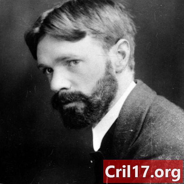 D.H. Lawrence - Playwright, Poet, Author, Journalist