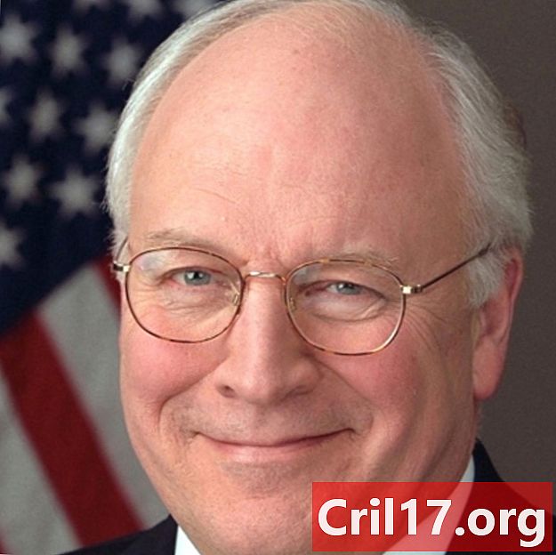 Dick Cheney Biographie