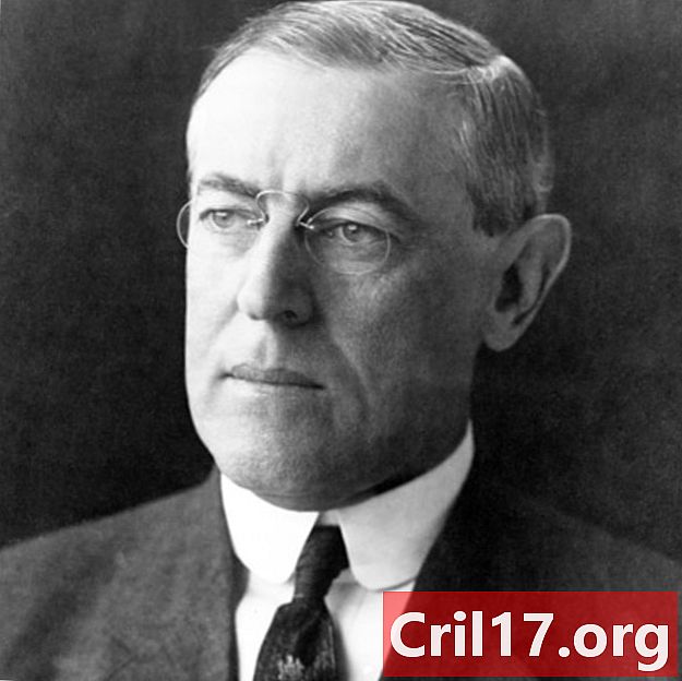 Woodrow Wilson - WW1, presidentschap en prestaties