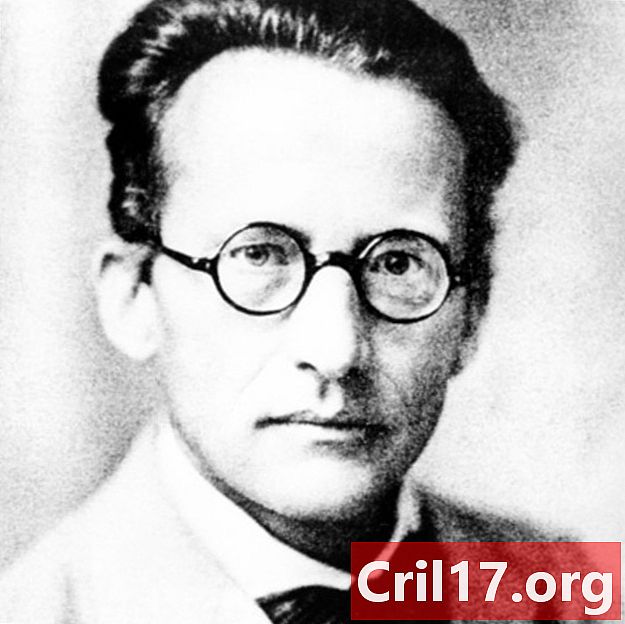 Erwin Schrödinger - Descubrimiento, citas y experimento
