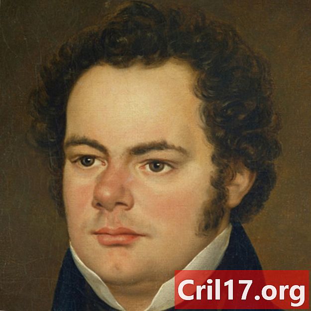 Franz Schubert - Glasba, dejstva in pesmi