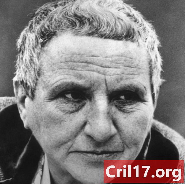 Gertrude Stein - meno kolekcininkas, poetas, leidėjas, žurnalistas, autorius