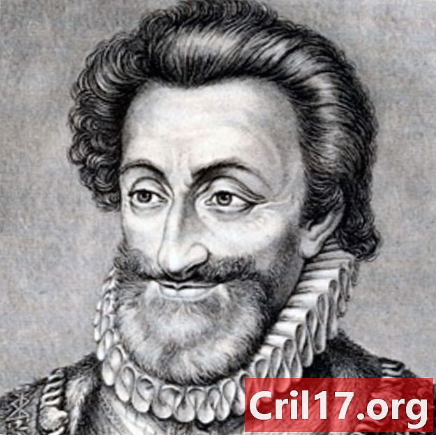 Henri IV - roi