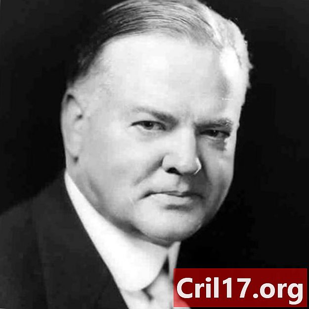 Herbert Hoover - Feiten, presidentschap en grote depressie