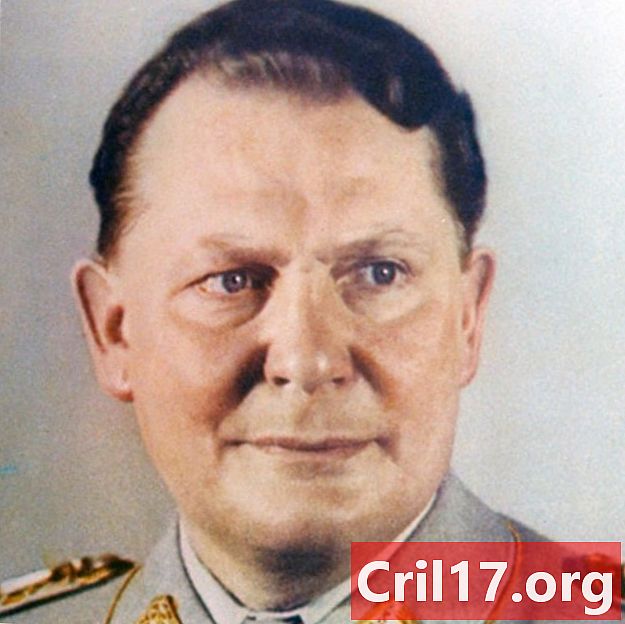 Hermann Göring - - Βιογραφία