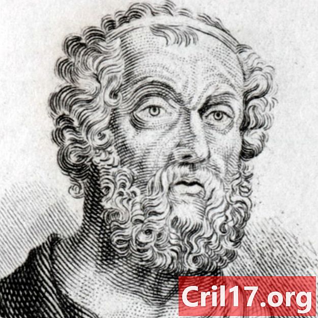 Homer - Dejstva, Iliada in Odiseja