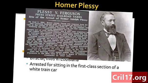 Homeras Plessy -