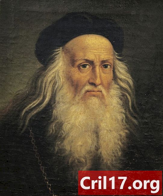 Como Leonardo da Vinci mudou sua vida