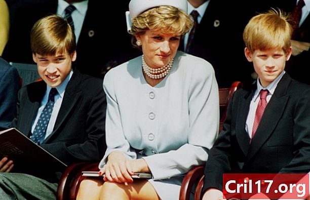 Ako vykonávajú kniežatá William a Harry princeznú Dianas Legacy
