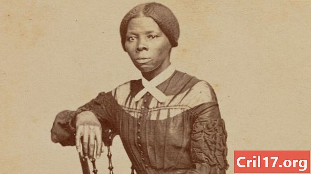 Sa loob ng Harriet Tubmans Buhay ng Serbisyo Pagkatapos ng Underground Railroad