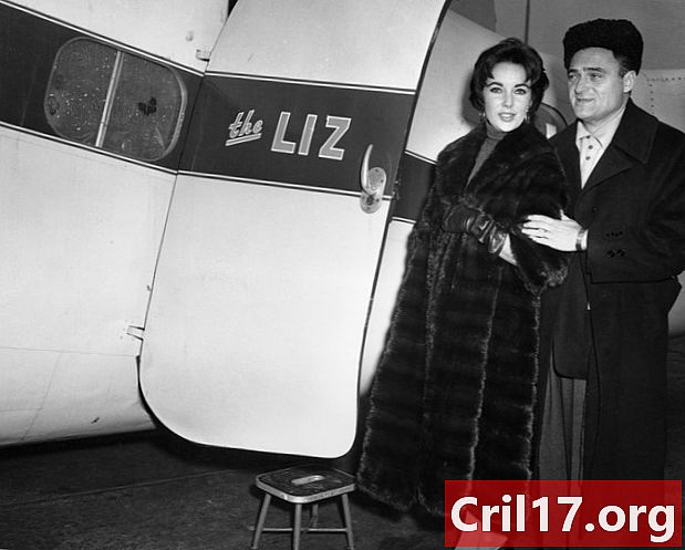 In het vliegtuigongeluk dat het leven van Kirk Douglas en Elizabeth Taylors heeft veranderd