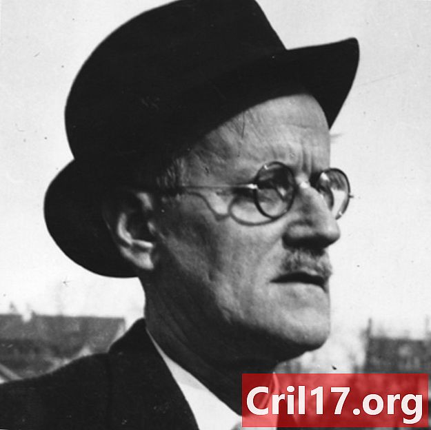 James Joyce - Ulysses, Knjige in Dublinerji