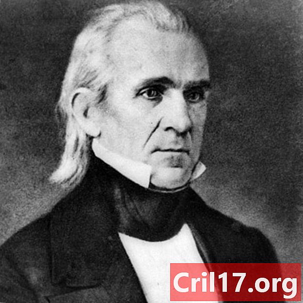 James Polk - Predsedníctvo, fakty a smrť