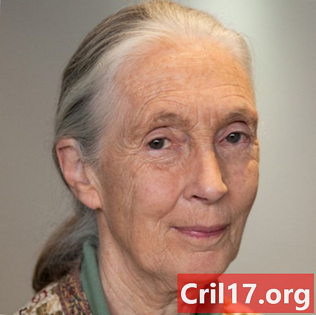 Jane Goodall-生活，教育与事实