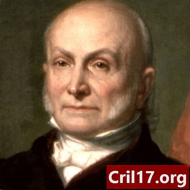 John Quincy Adams - Președinție, partid politic și citate