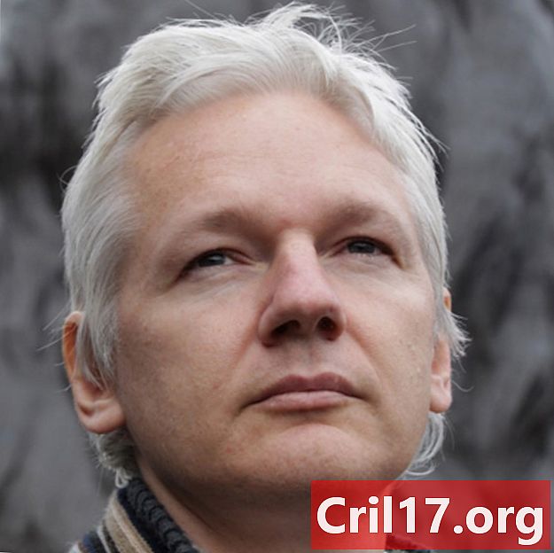 Julian Assange - Journalist, computerprogrammerer