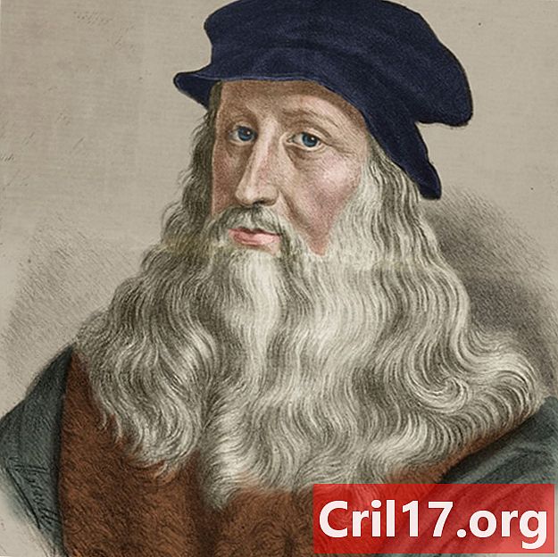 Leonardo da Vinci - Schilderijen, uitvindingen en citaten