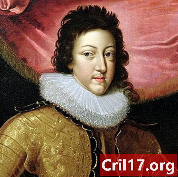 Ludwik XIII - król