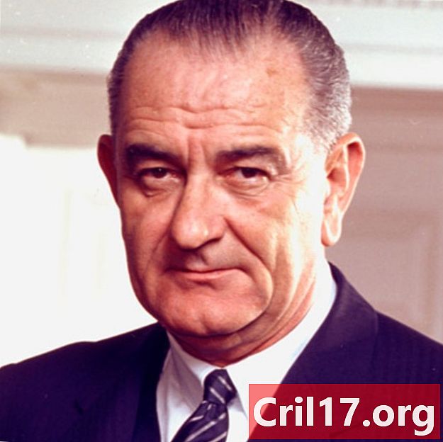Lyndon B. Johnson-总统，事实与越战