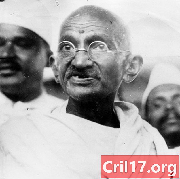 Mahatma Gandhi - África do Sul, marcha de sal e assassinato