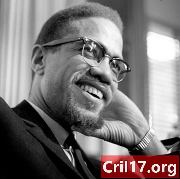 Malcolm X - Citaten, moord en film