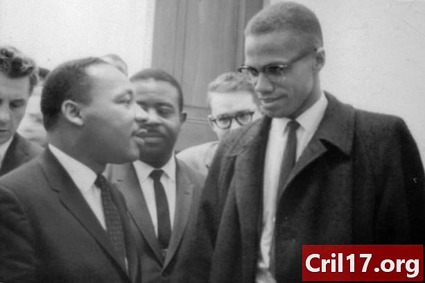 Martin Luther King Jr ja Malcolm X tapasivat vain kerran