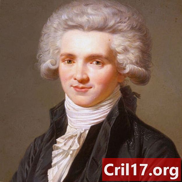 Maximilien de Robespierre - novinář, právník, soudce