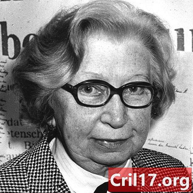 Miep Gies - ناشط مناهض للحرب