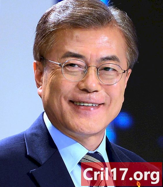Moon Jae-in - Político, Esposa e Presidente