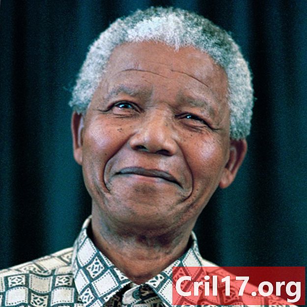 Nelson Mandela - Citas, hechos y muerte