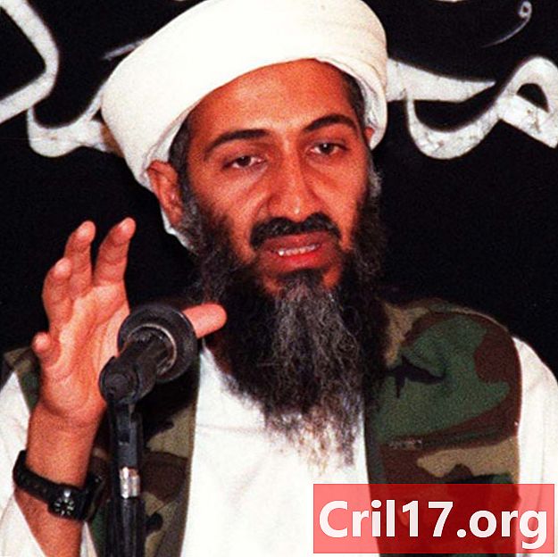 Osama bin Laden - Familie, vrouw & samenstelling