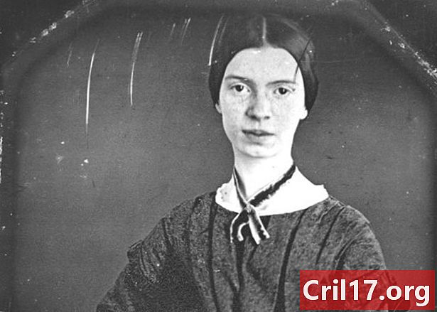 Provocateur poètic: 7 fets sorprenents sobre Emily Dickinson