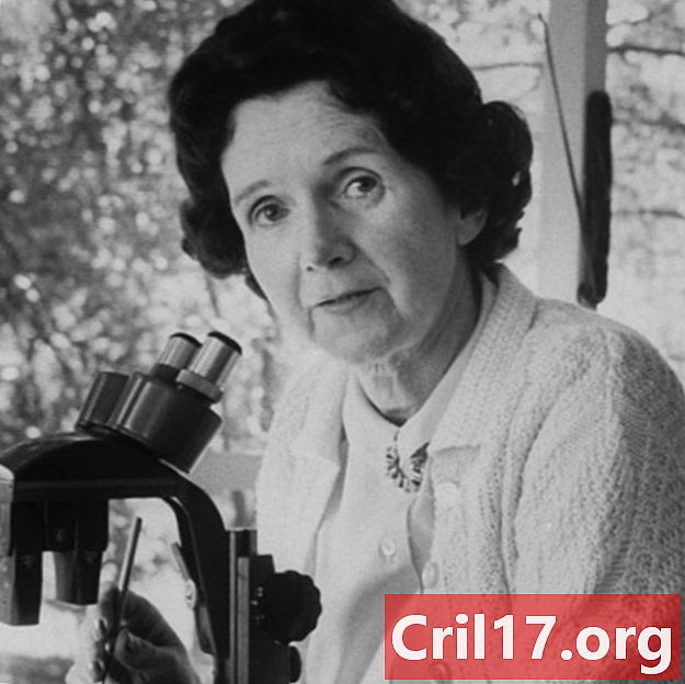 Rachel Carson - Quotazioni, scoperte e libri